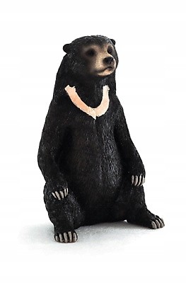 c5ae62bb4fd580332a21e7cc1bbc