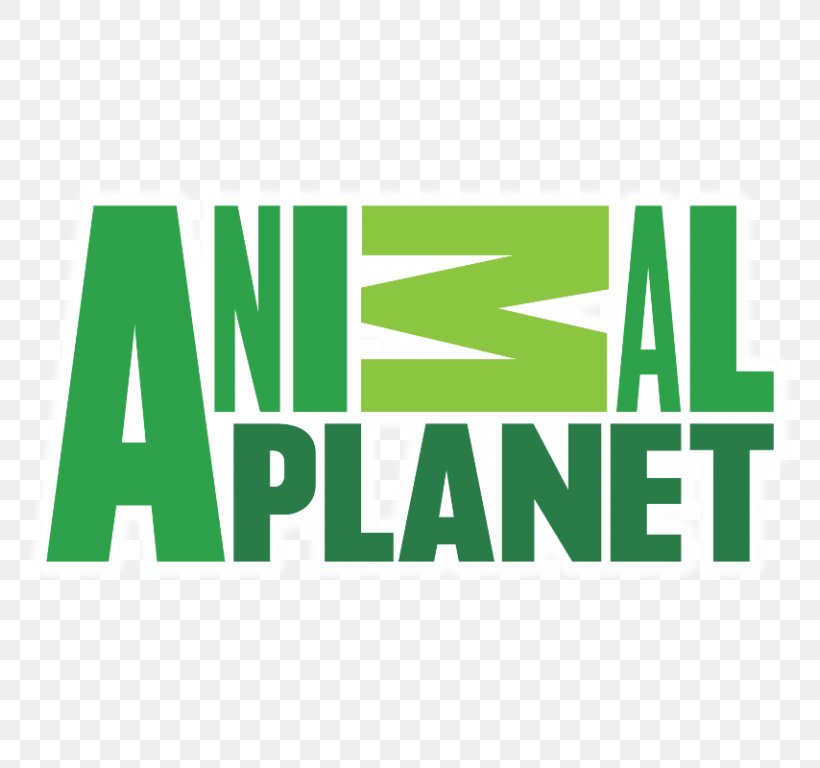 Animal Planet